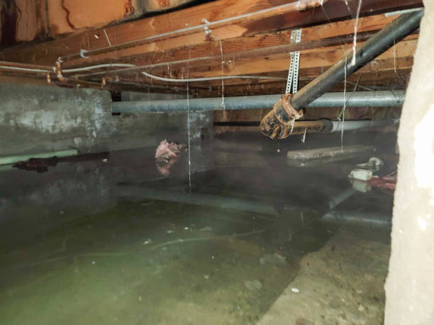 Best Sewage cleanup and water damage restoration  in Coal City, WV
