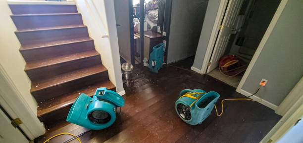 Best Flooded house restoration  in Coal City, WV