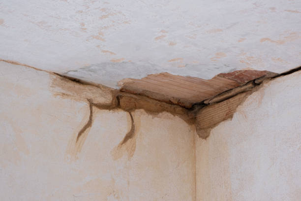Best Water damage cleanup near me  in Coal City, WV