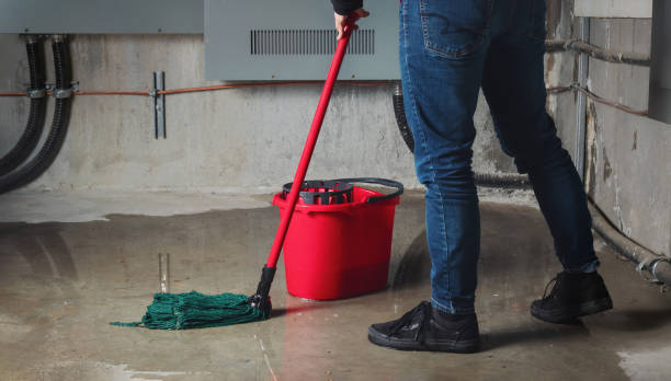Best Water damage contractors near me  in Coal City, WV