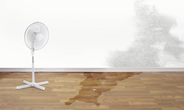 Professional Water damage restoration in WV