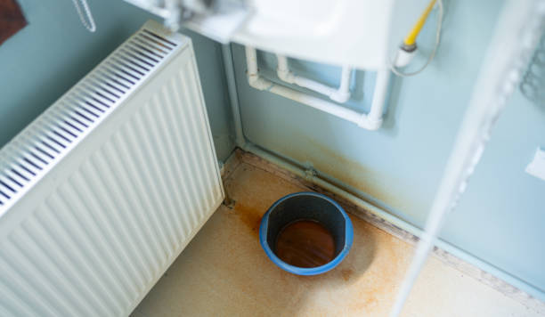 Best Residential water damage restoration  in Coal City, WV