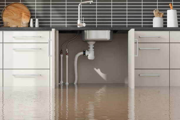 Best Fire Damage Restoration  in Coal City, WV