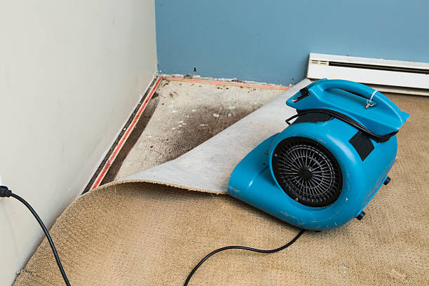 Best Water damage restoration near me  in Coal City, WV